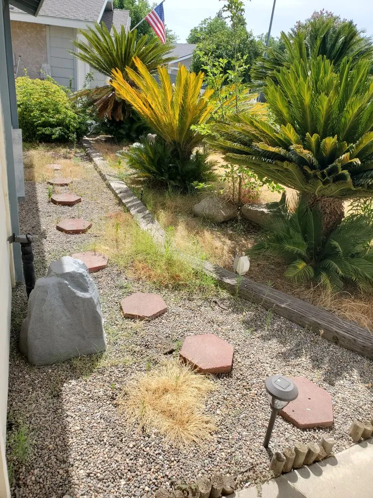 Expert yard maintenance in Clovis, CA - Jara's Landscaping