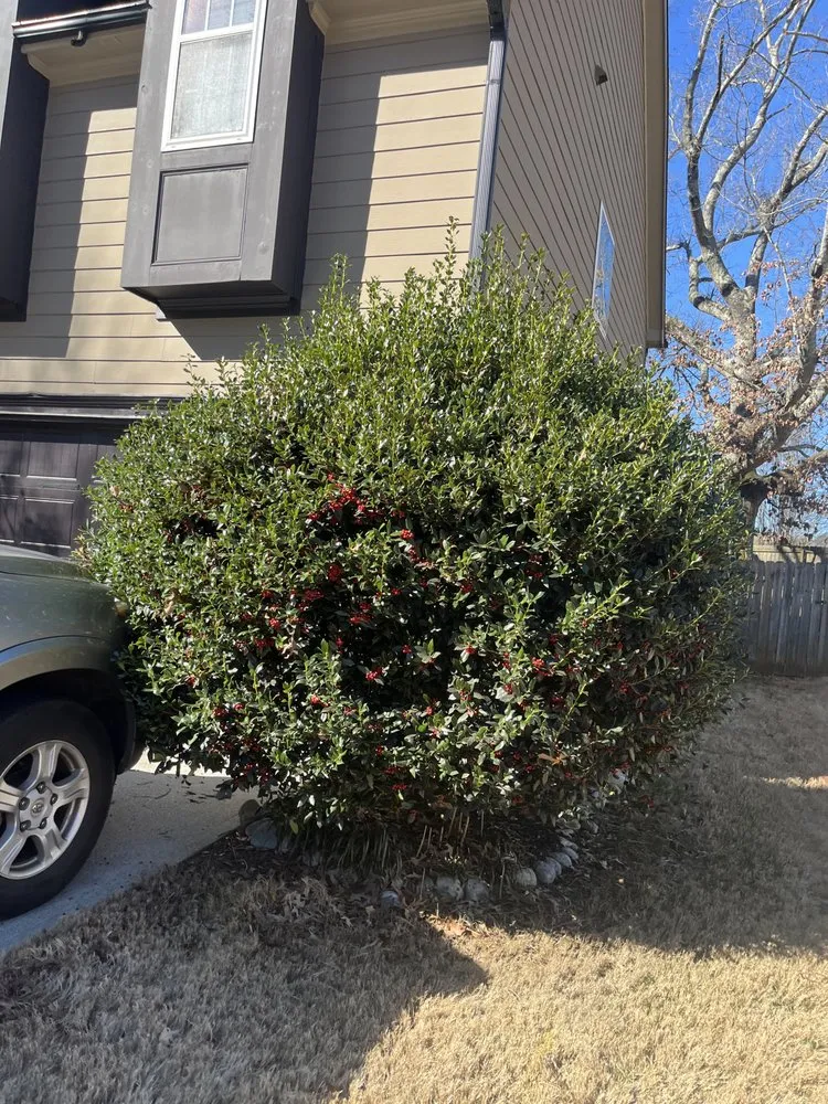 Top-rated garden landscaping in Gainesville, GA by Jara’s Lawn Care Services