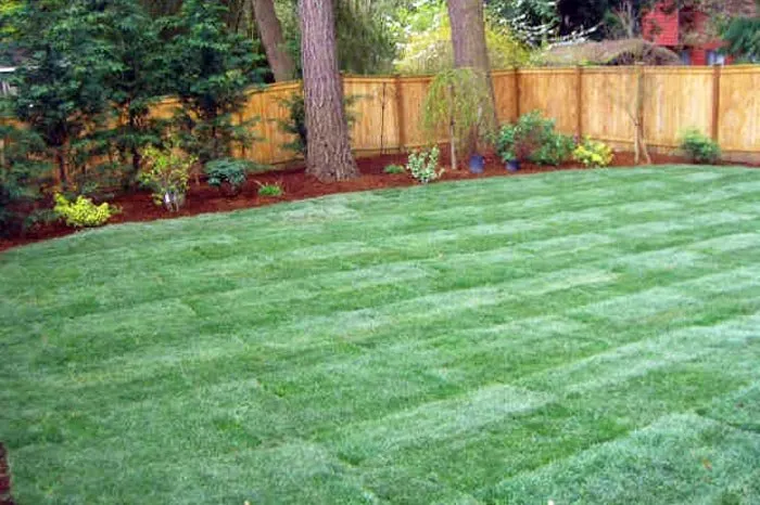 Top-rated residential landscaping in Warren, MI - Jarbo Tree Services