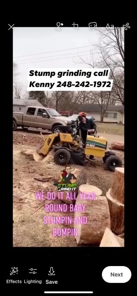 Professional landscape design for beautiful yards in Warren, MI by Jarbo Tree Services