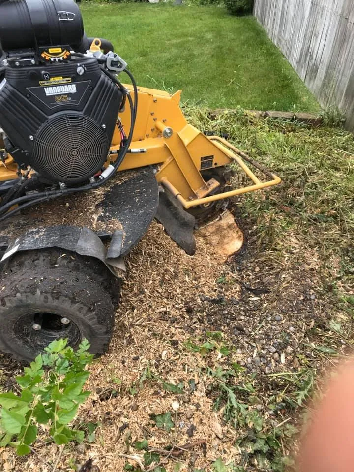 Affordable lawn mowing service for year-round maintenance across Warren, MI - Jarbo Tree Services