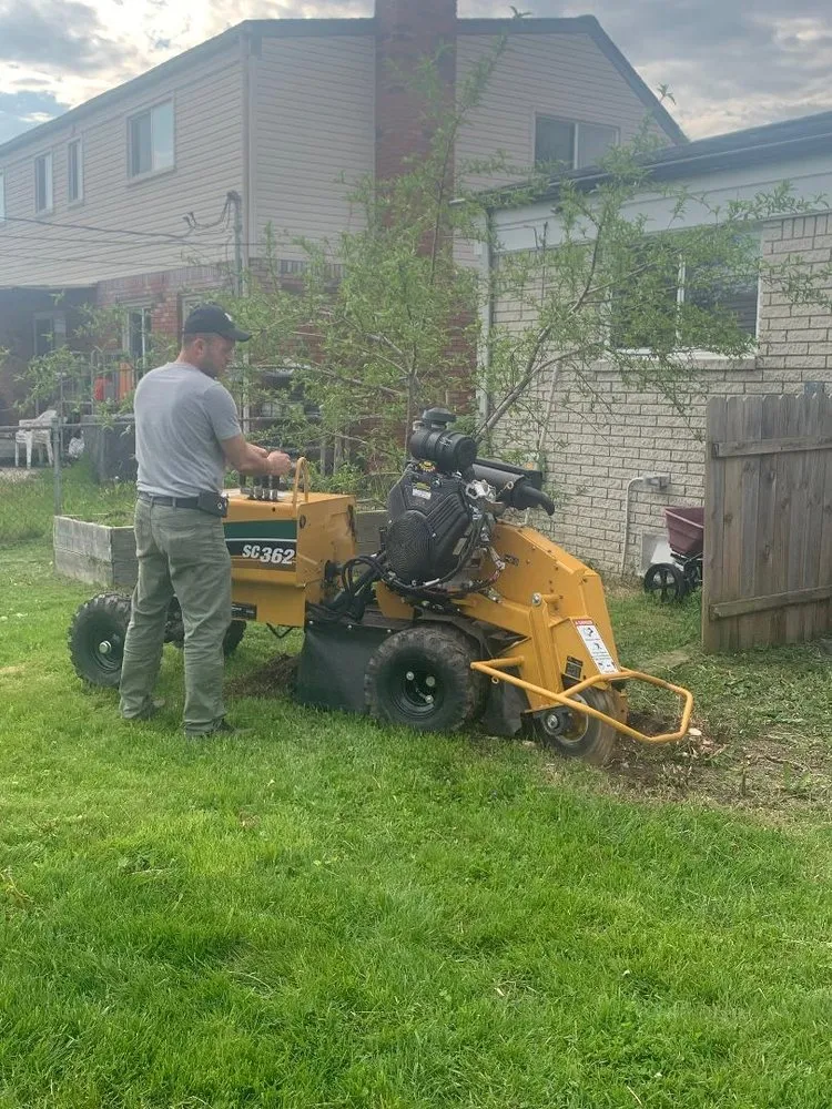 Top-rated garden landscaping experts serving Warren, MI - Jarbo Tree Services