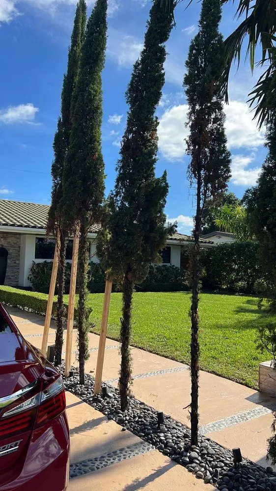 Expert lawn care service in Miami Gardens, FL by Jardeen Landscaping