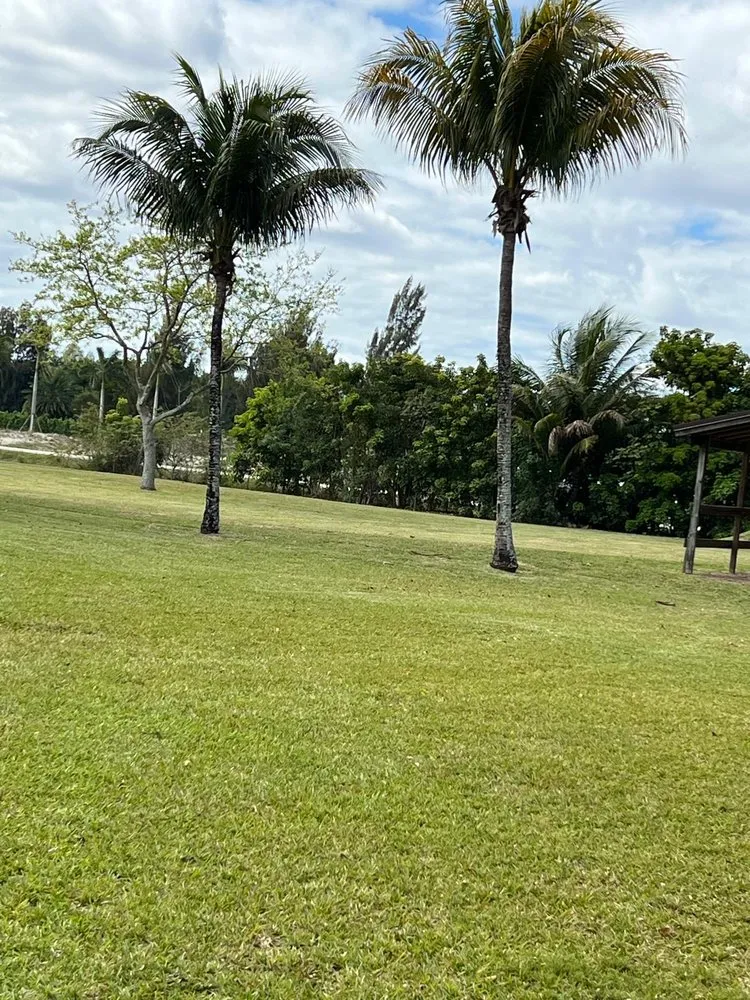 Reliable yard maintenance in Miami Gardens, FL - Jardeen Landscaping