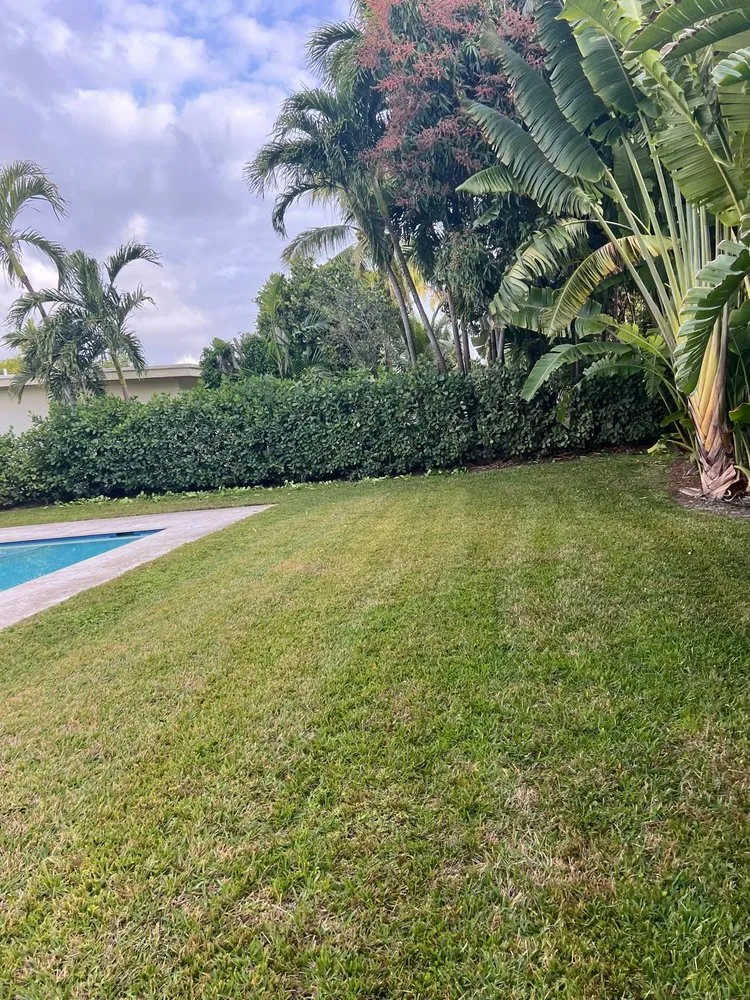 Custom landscaping services in Miami Gardens, FL - Jardeen Landscaping