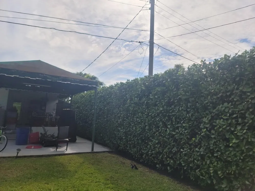 Reliable residential landscaping with custom design across Miami Gardens, FL - Jardeen Landscaping