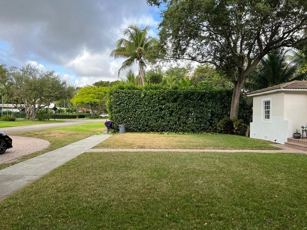 Top-rated yard maintenance in Miami Gardens, FL by Jardeen Landscaping