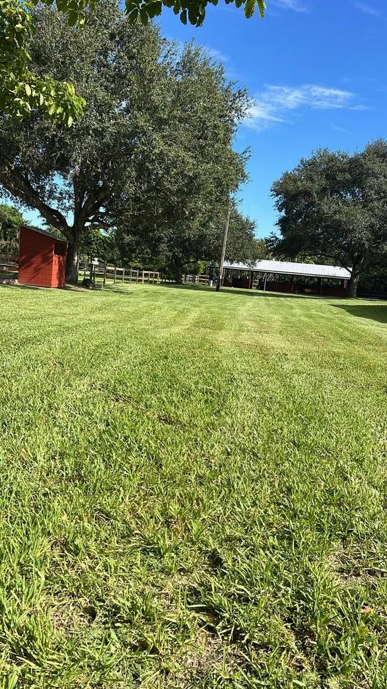 Trusted landscaping services near you in Miami Gardens, FL by Jardeen Landscaping