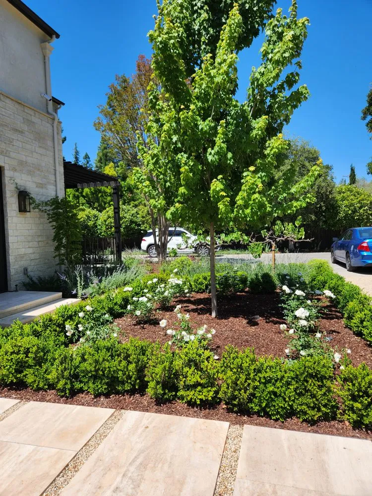 Trusted landscaping services for outdoor upgrades in Redwood City, CA by Jardin Green Garden Gonzalez