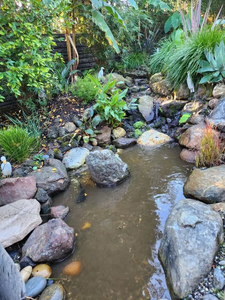 Professional residential landscaping in Redwood City, CA - Jardin Green Garden Gonzalez