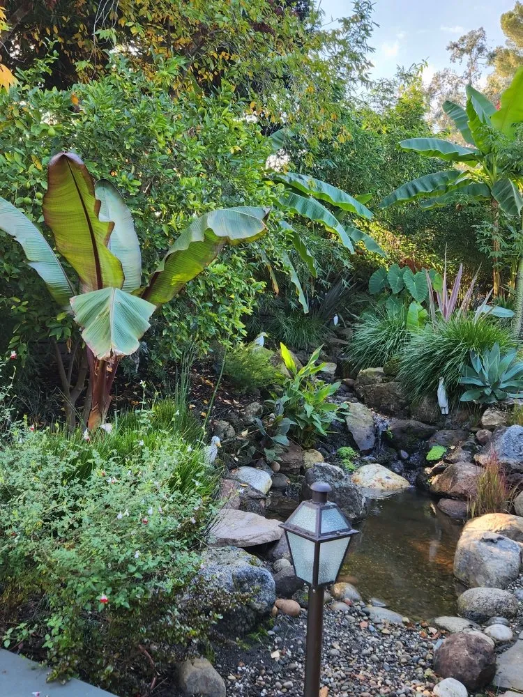 Affordable landscape design near you across Redwood City, CA - Jardin Green Garden Gonzalez