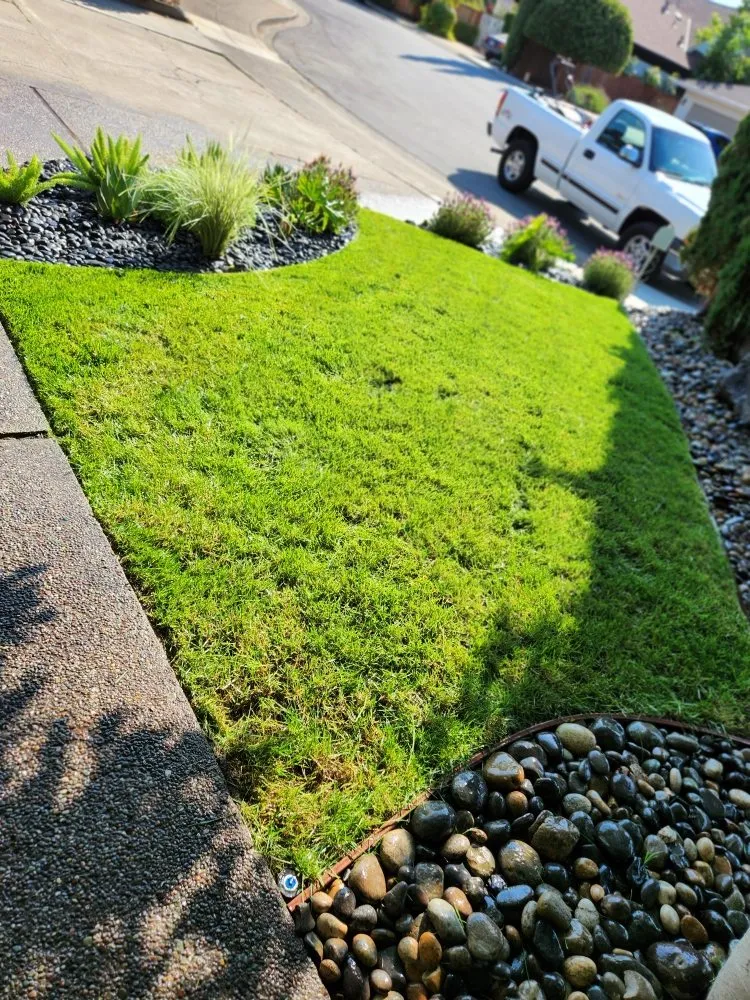 Top-rated residential landscaping near you across Redwood City, CA - Jardin Green Garden Gonzalez