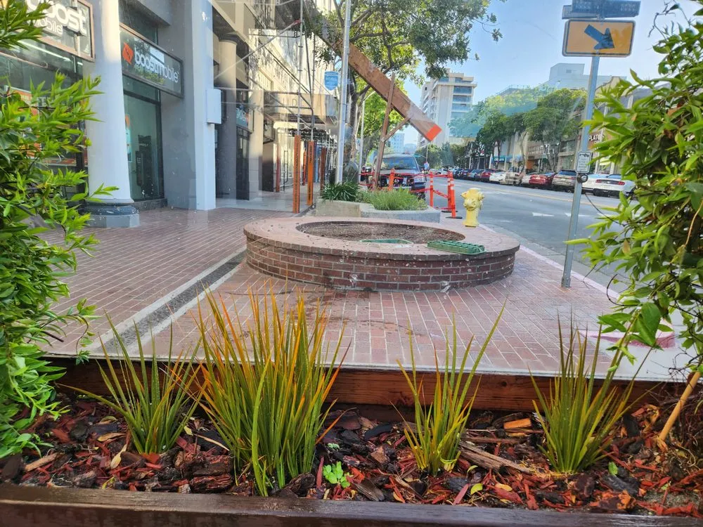 Trusted landscape installation for year-round maintenance across Redwood City, CA - Jardin Green Garden Gonzalez