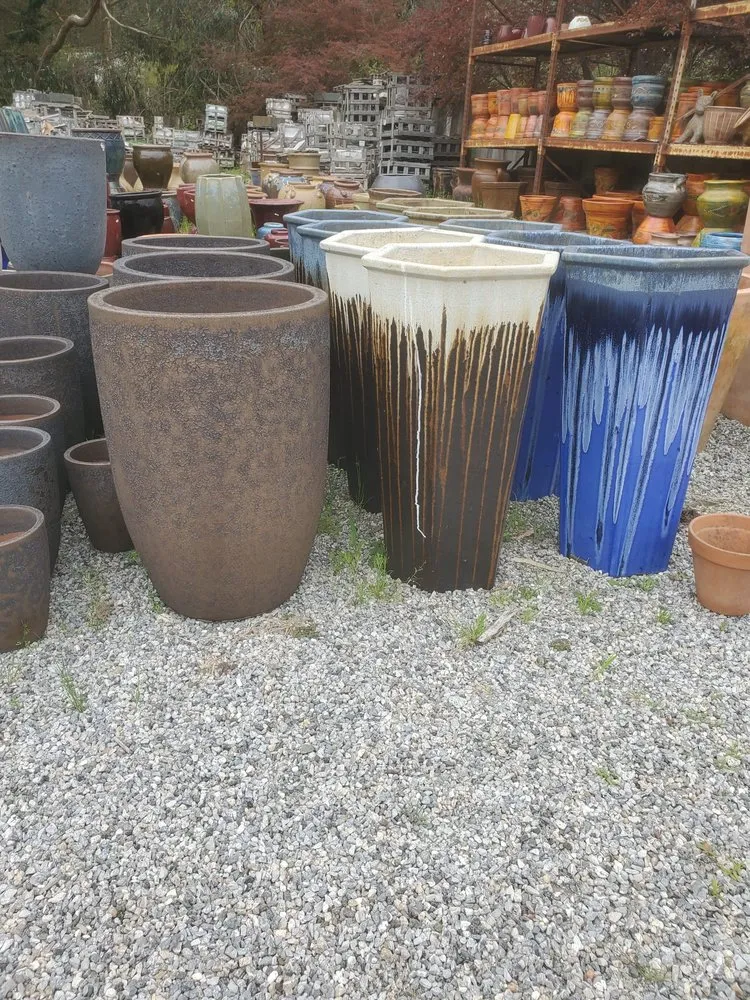 Affordable lawn care service near you in Redwood City, CA by Jardin Green Garden Gonzalez