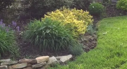 Jardin Landscaping & Lawn Care Logo
