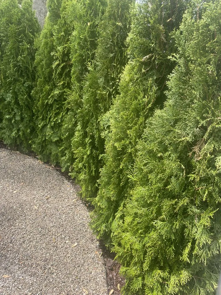 Top-rated residential landscaping in Melvindale, MI by Jardin Outdoor Creations