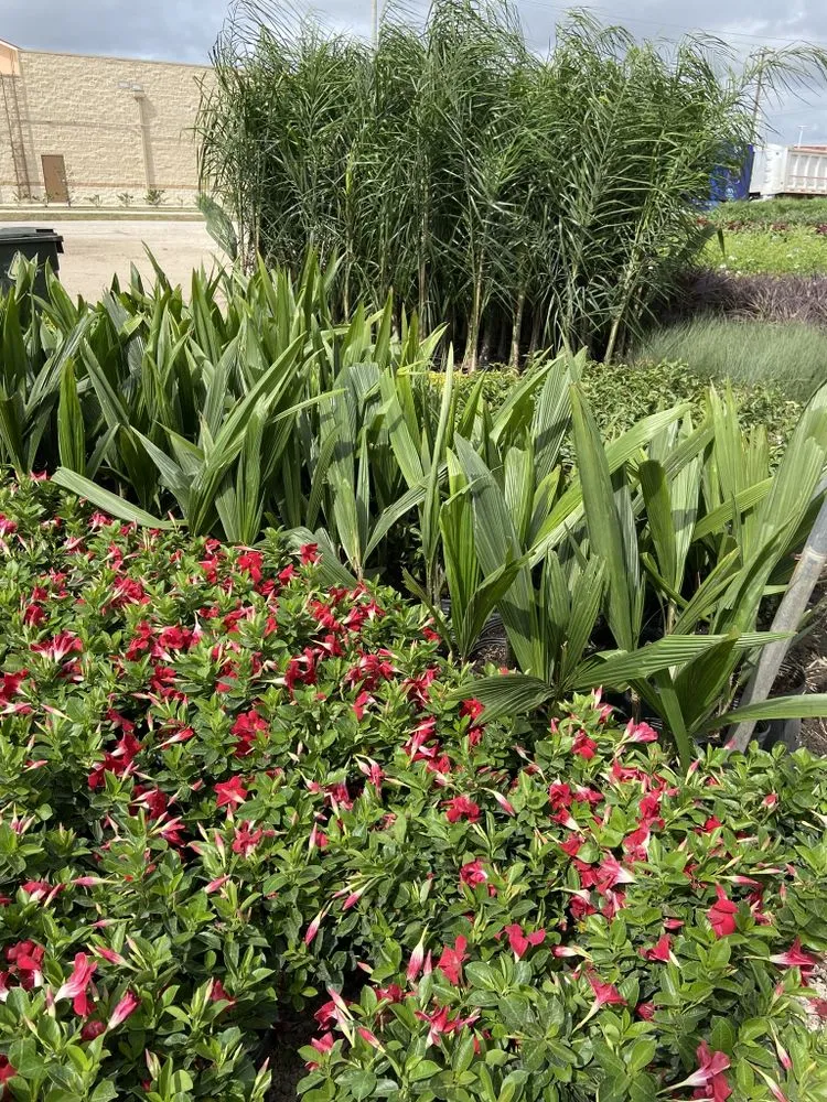 Professional lawn mowing service experts serving League City, TX - Jardina Garden Center