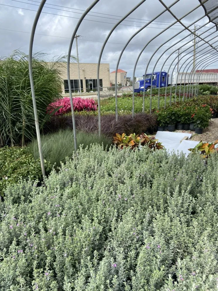 Trusted lawn care service in League City, TX - Jardina Garden Center