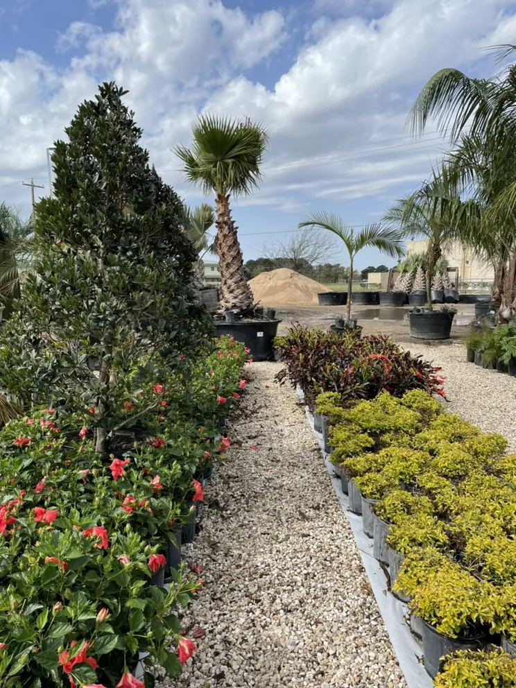 Reliable lawn care service experts serving League City, TX - Jardina Garden Center