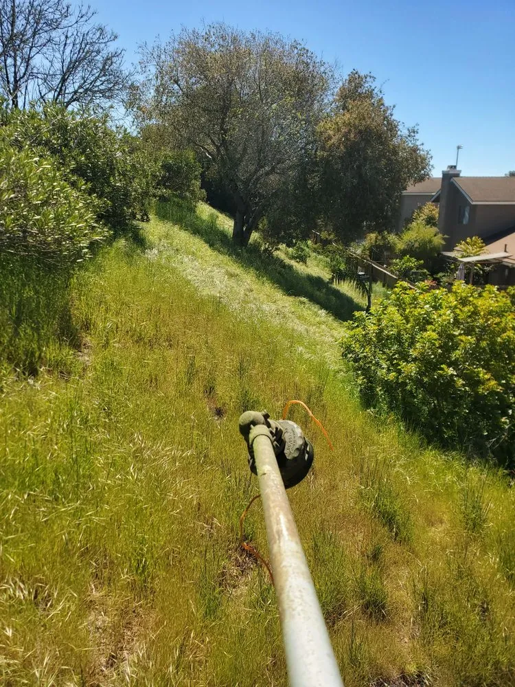 Reliable yard maintenance for homes in Santa Maria, CA by Jardinería yosocañú