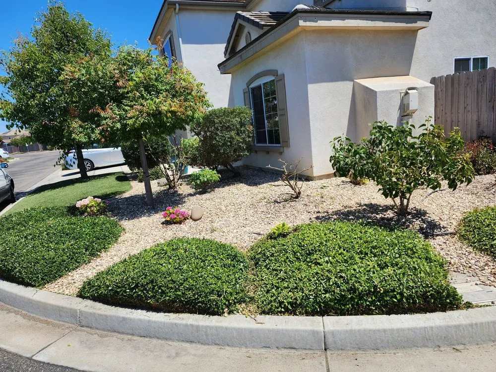 Professional yard cleanup service in Santa Maria, CA by Jardinería yosocañú