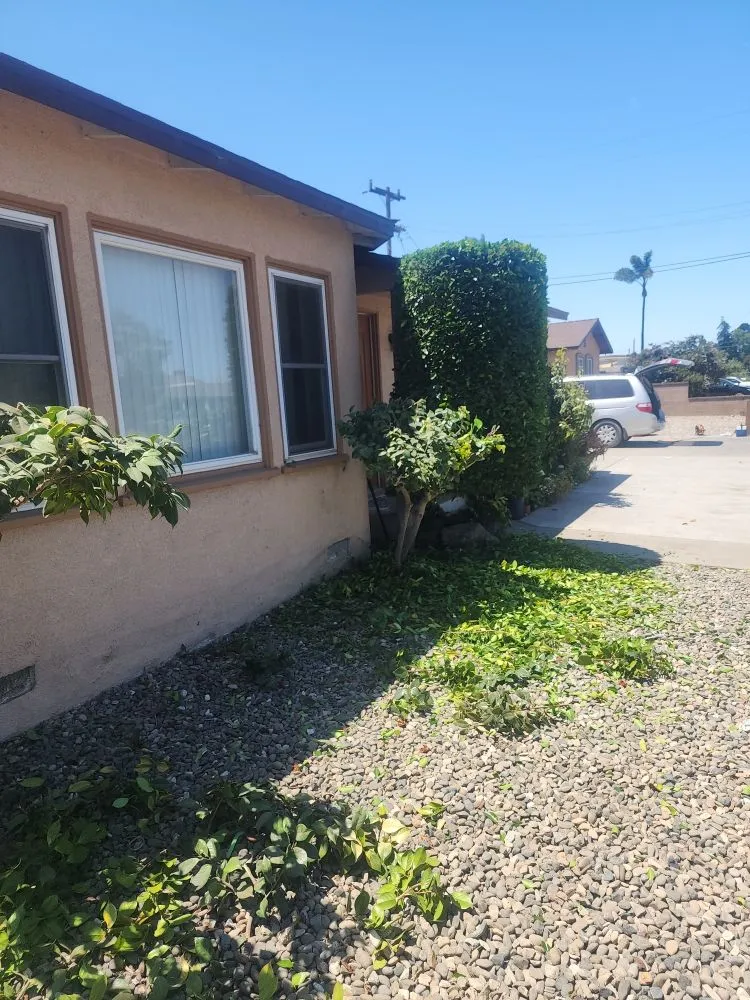 Affordable landscape design for homes in Santa Maria, CA by Jardinería yosocañú