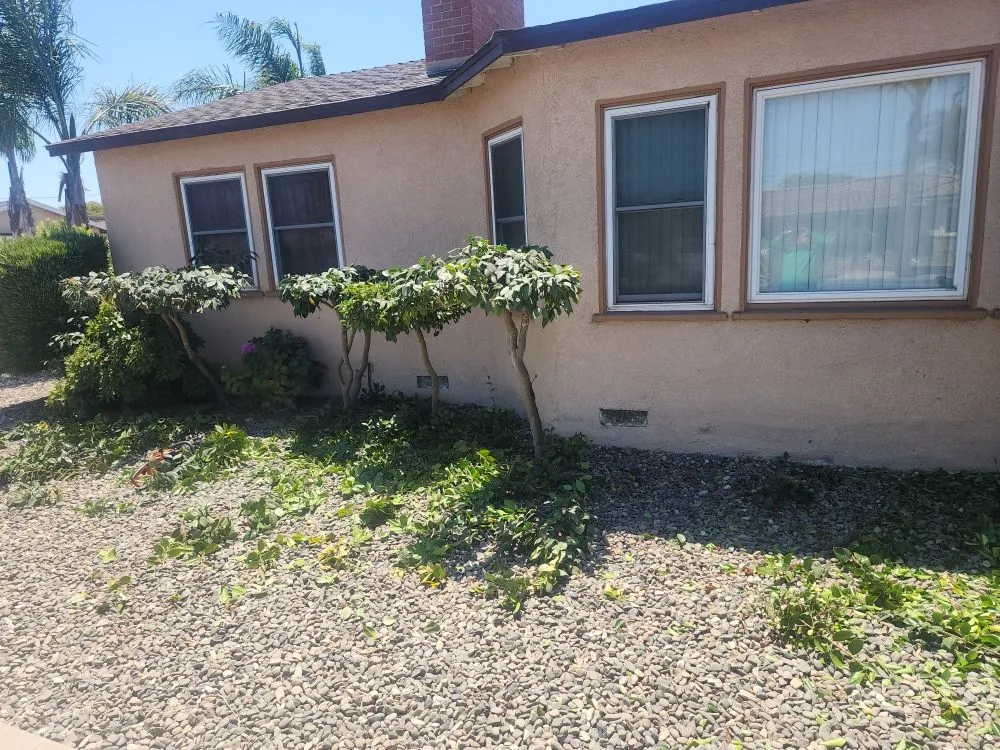 Local yard cleanup service experts serving Santa Maria, CA - Jardinería yosocañú