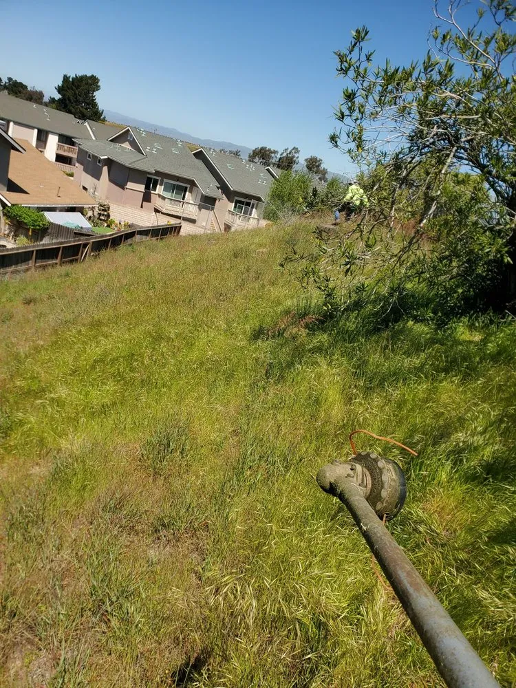 Affordable lawn mowing service for residential properties across Santa Maria, CA - Jardinería yosocañú