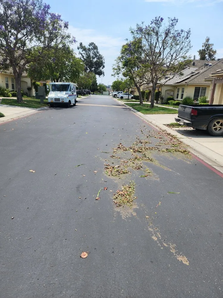 Professional yard cleanup service for beautiful yards across Santa Maria, CA - Jardinería yosocañú