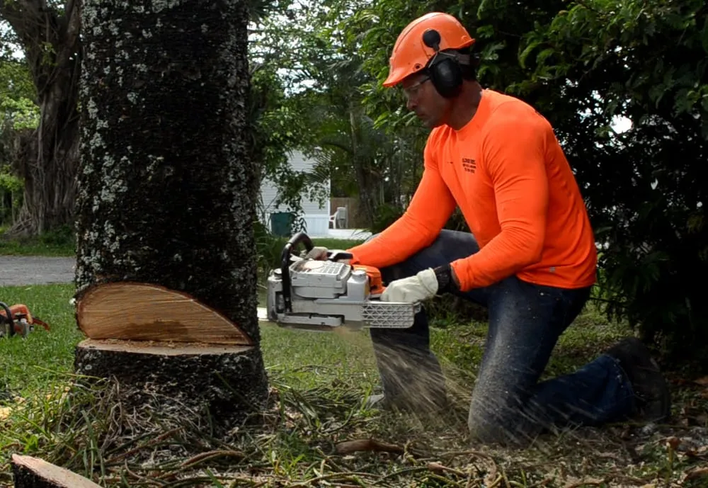 Trusted yard cleanup service in Miami, FL - Jardineria con Flower Breeze Corp.