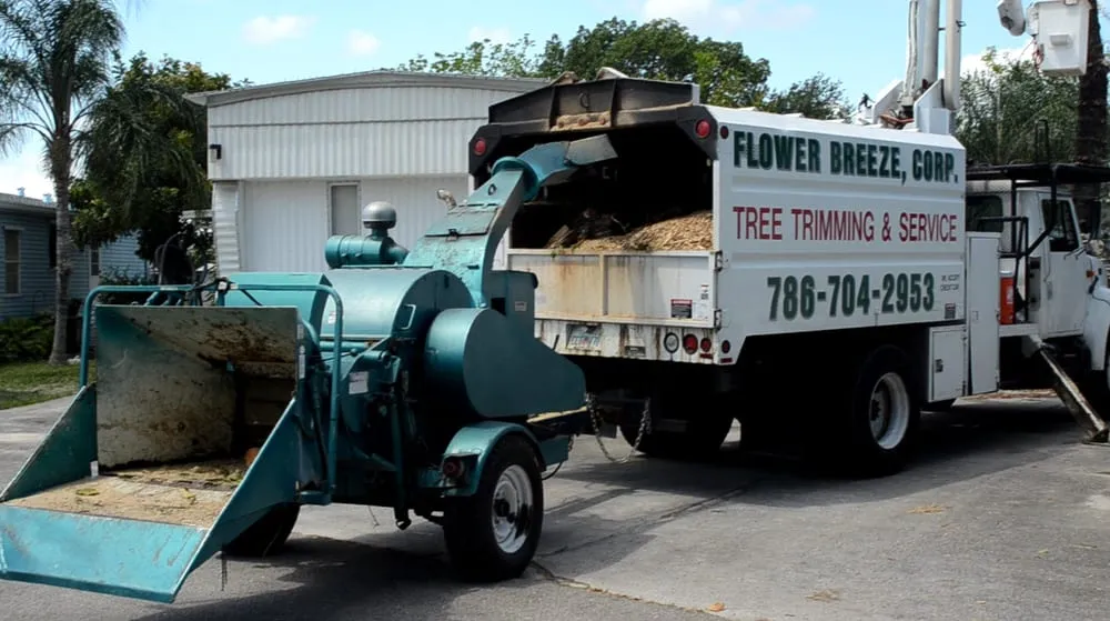 Affordable yard cleanup service near you across Miami, FL - Jardineria con Flower Breeze Corp.