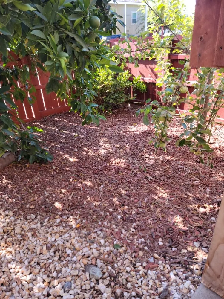 Local landscape installation for residential properties in Santa Rosa, CA by Jardineria Estevan