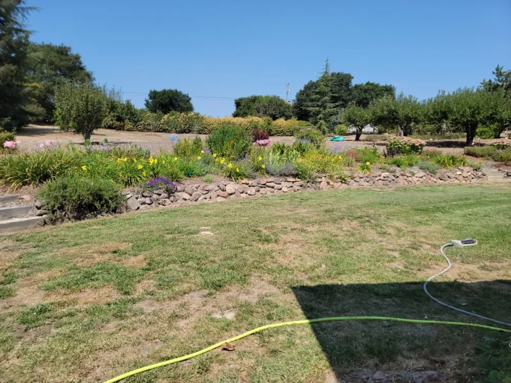 Trusted lawn care service for outdoor upgrades in Santa Rosa, CA by Jardineria Estevan