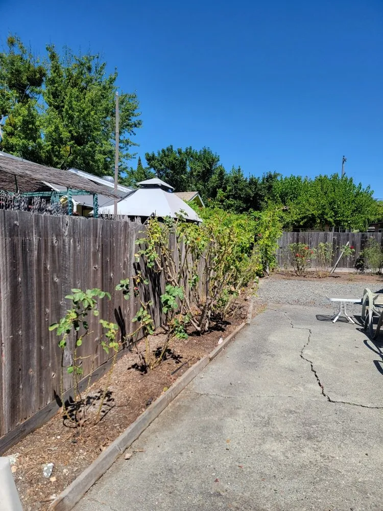 Expert garden landscaping for beautiful yards in Santa Rosa, CA by Jardineria Estevan