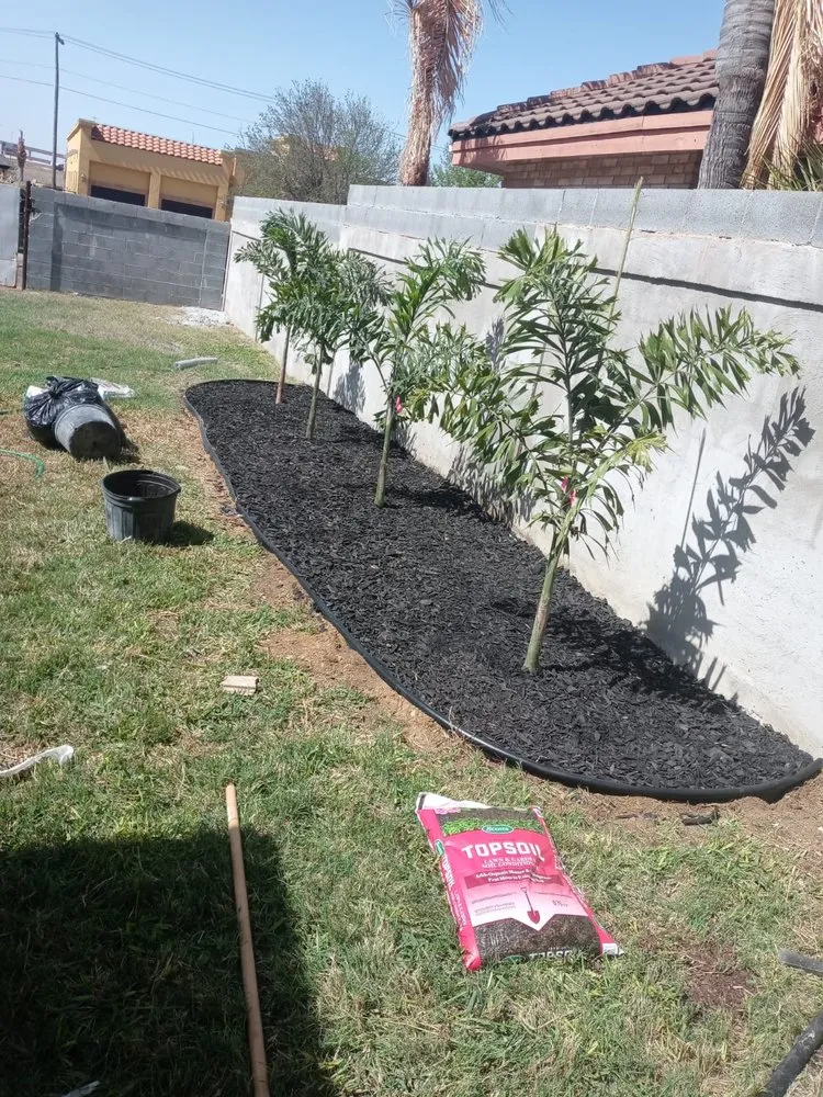 Custom landscaping services experts serving Laredo, TX - Jardinero Solares