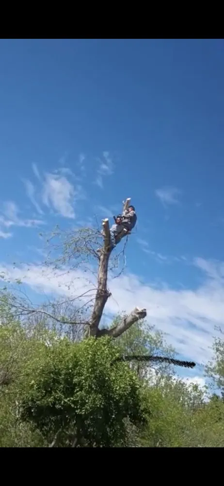 Expert yard maintenance in Laredo, TX by Jardinero Solares