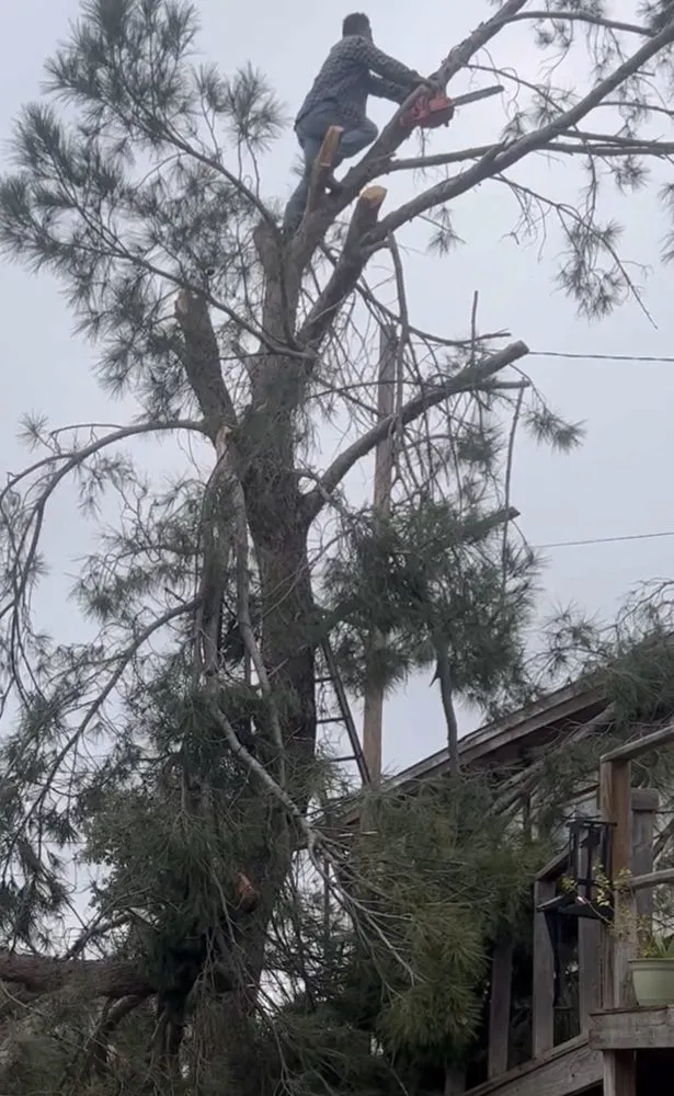 Affordable outdoor landscaping for year-round maintenance across Laredo, TX - Jardinero Solares