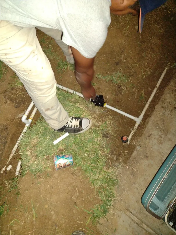 Top-rated yard cleanup service in Laredo, TX by Jardinero Solares