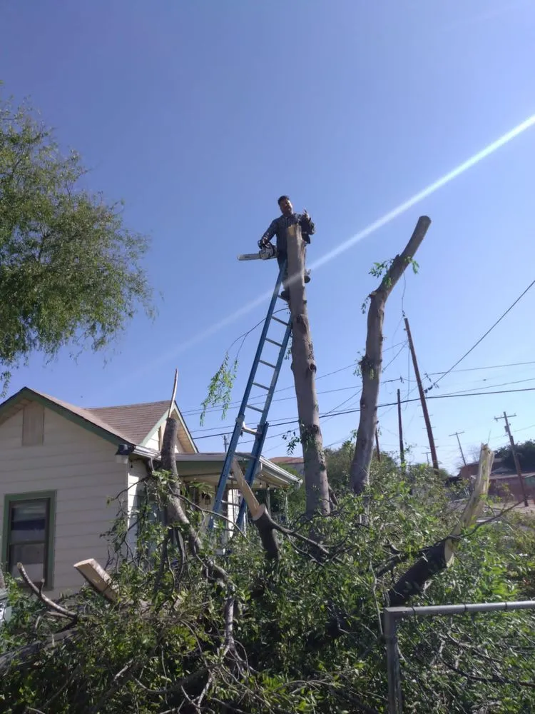 Trusted landscape design in Laredo, TX - Jardinero Solares