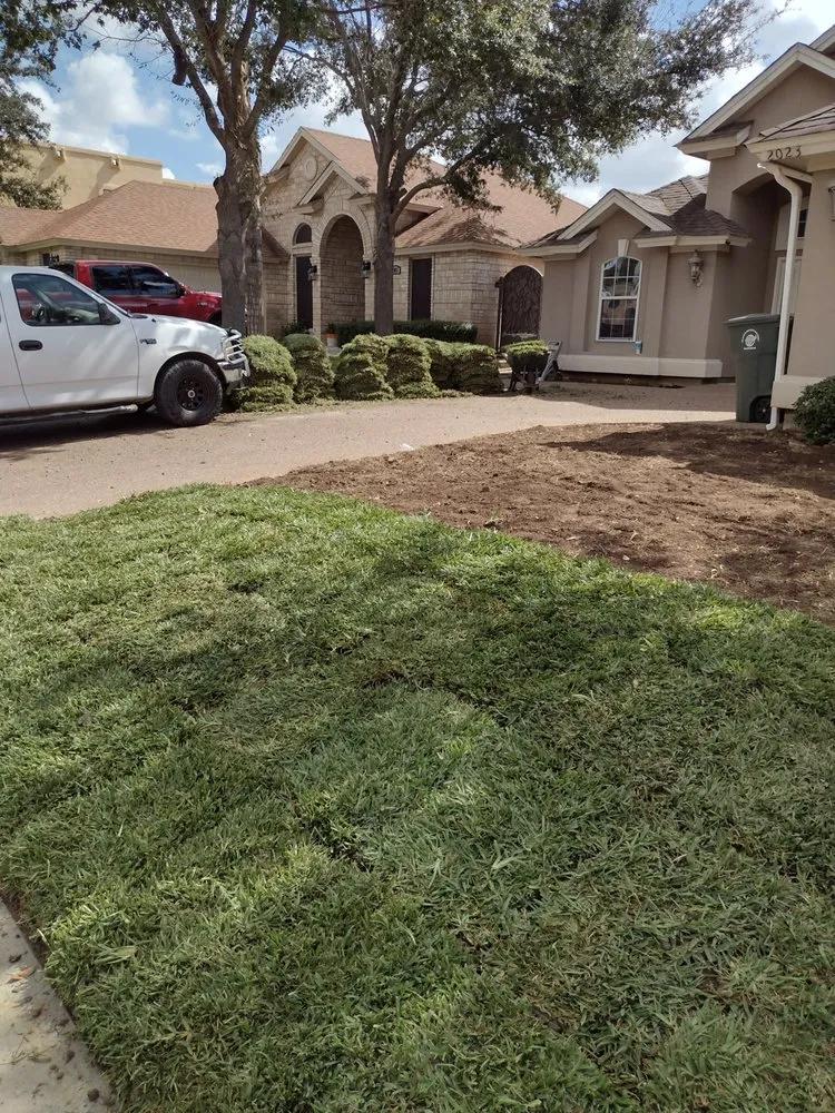 Reliable yard cleanup service in Laredo, TX - Jardinero Solares