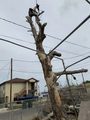 Jardinero Solares Logo