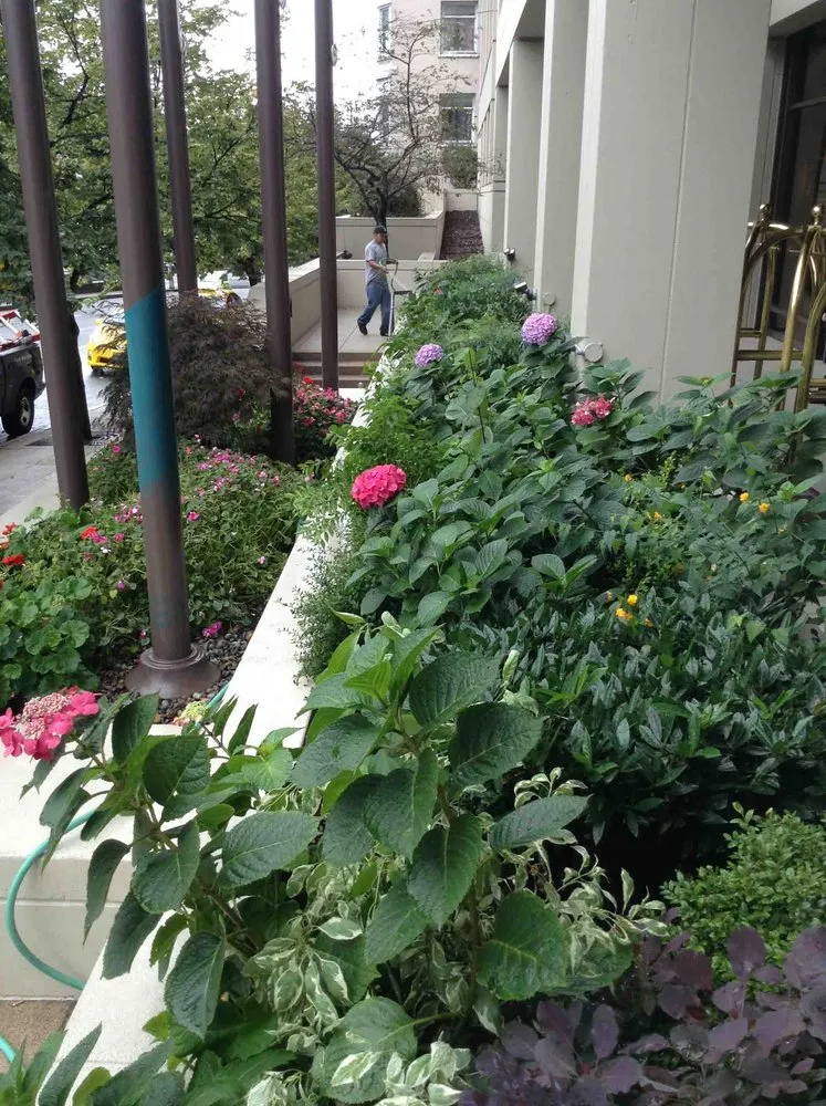 Trusted yard maintenance experts serving Redmond, WA - Jardiniere landscaping