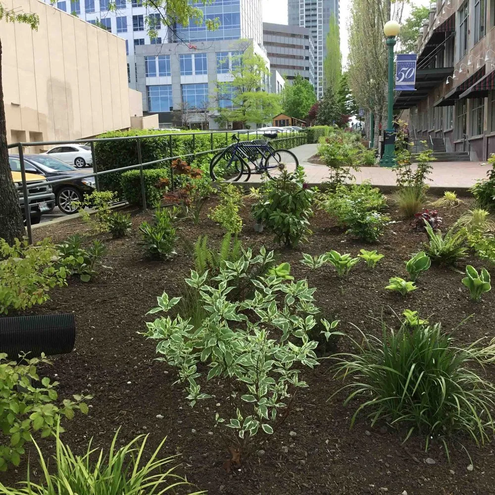 Reliable outdoor landscaping for beautiful yards across Redmond, WA - Jardiniere landscaping