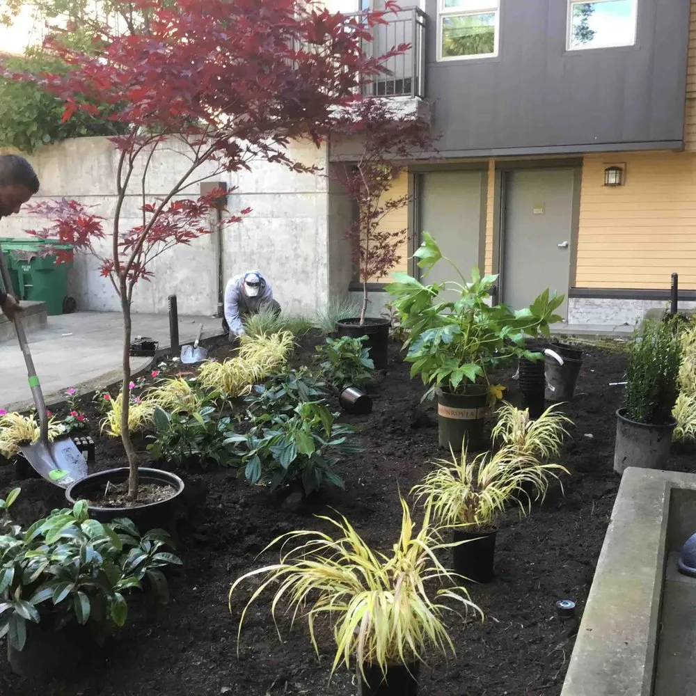 Professional outdoor landscaping in Redmond, WA by Jardiniere landscaping