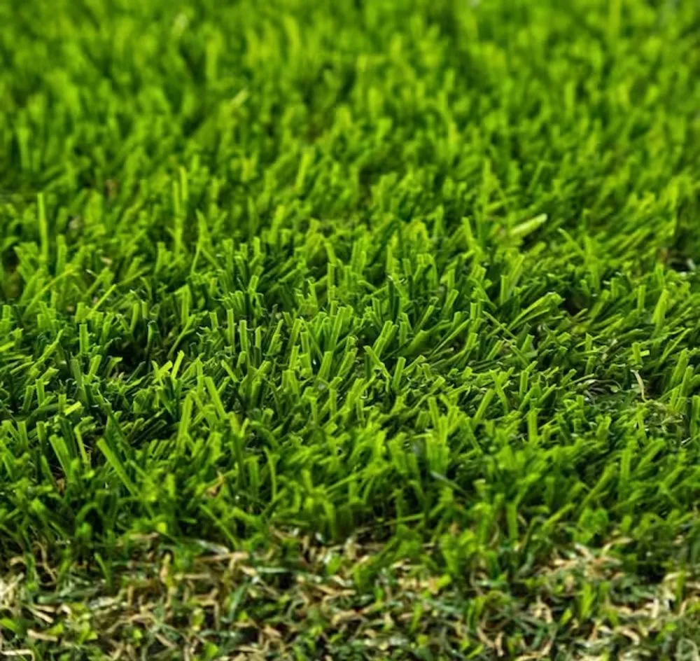 Expert lawn care service near you in Highlands, TX by Jardín Del Trebol