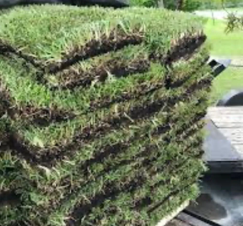 Professional yard maintenance for outdoor upgrades across Highlands, TX - Jardín Del Trebol