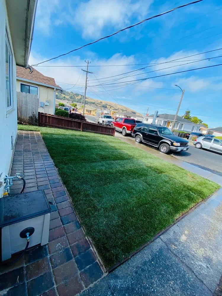 Reliable residential landscaping in San Mateo, CA - Jardín Landscaping