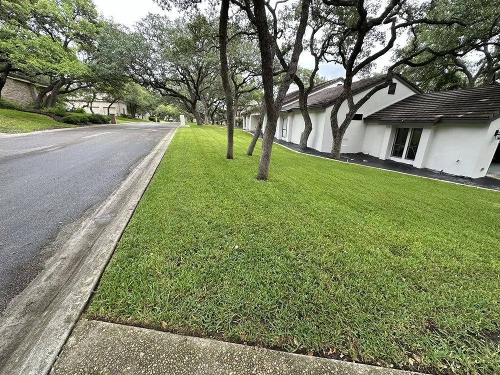 Professional landscaping services in Boerne, TX by Jared Landscaping & Tree Service