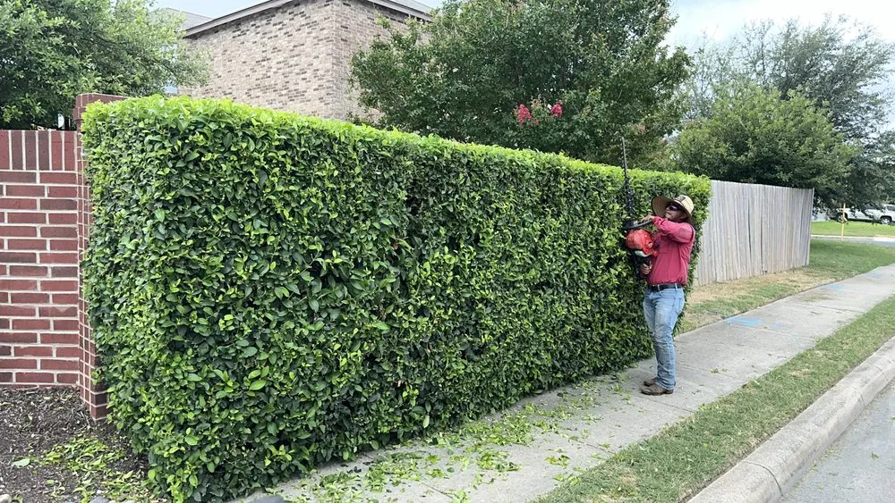 Custom lawn care service for homes in Boerne, TX by Jared Landscaping & Tree Service