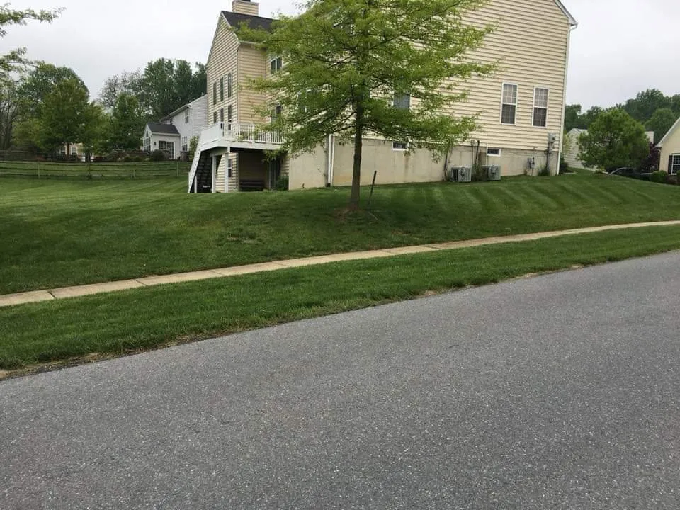 Professional landscape design in Avondale, PA - Jared Landscaping